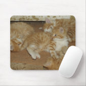 Vier rote Tabbies Mousepad (Mit Mouse)