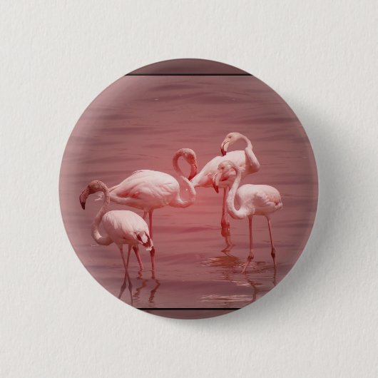 Vier scharende Flamingos Button (Vorderseite)