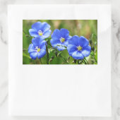 Vier schöne blaue Wildblumen Bloom Kananaskis Rechteckiger Aufkleber (Tasche)