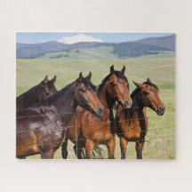 Vier schöne Pferde Jigsaw Puzzle