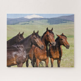 Vier schöne Pferde Jigsaw Puzzle