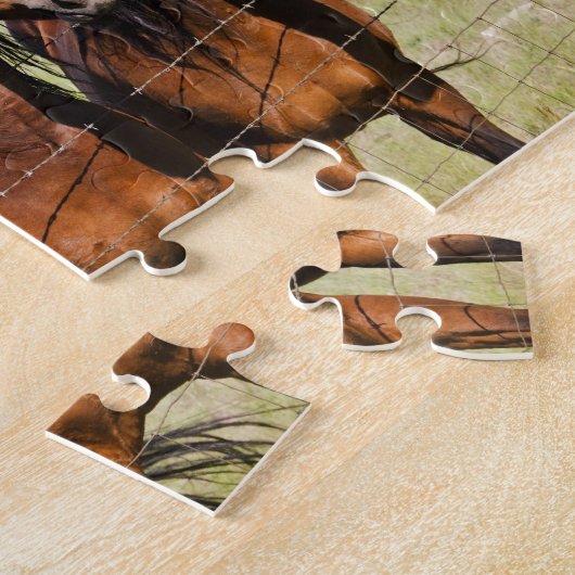 Vier schöne Pferde Puzzle (Seite)