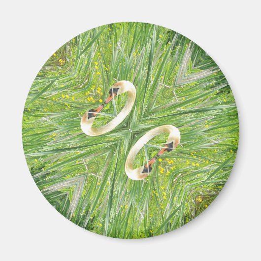 Vier Schwäne Kühlschrankmagnet (Vorne)