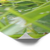 Vier schwarze und gelbe Hühnchen Poster (Ecke)