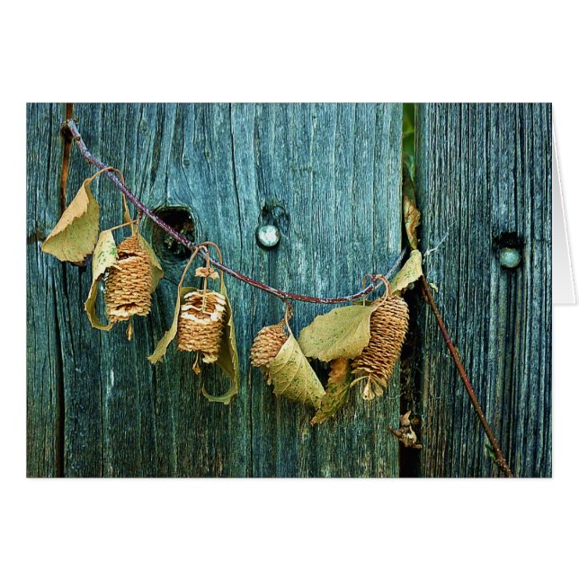 Vier Schwestern (Vorderseite (Horizontal))