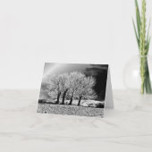 Vier Schwestern Karte (Vorderseite)