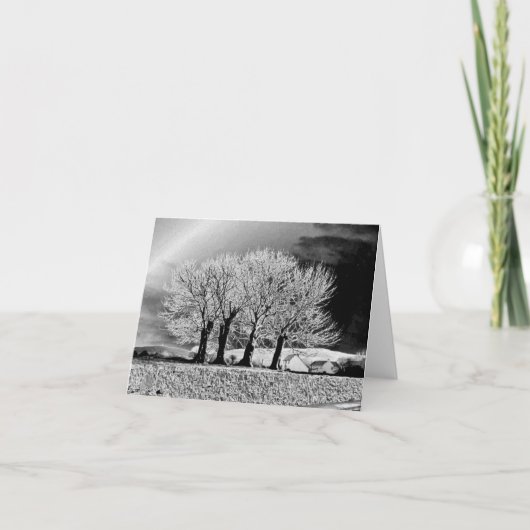 Vier Schwestern Karte (Vorderseite)