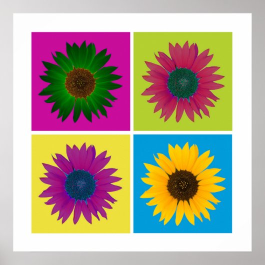 Vier Sonnenblumen in Farbplakat Poster (Vorne)