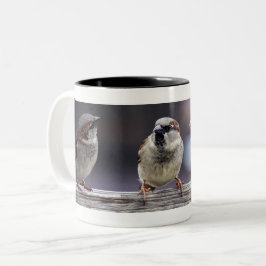 Vier Sparrow auf einem Zaun Zweifarbige Tasse