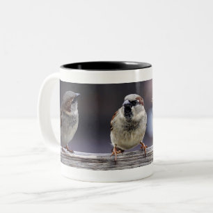 Vier Spatzen auf einem Zaun Zweifarbige Tasse