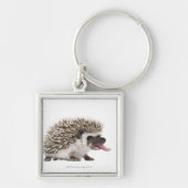 Vier-toed Igel - Atelerix albiventris Schlüsselanhänger (Vorne)