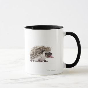 Vier-toed Igel - Atelerix albiventris Tasse