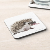 Vier-toed Igel - Atelerix albiventris Untersetzer (Linke Seite)