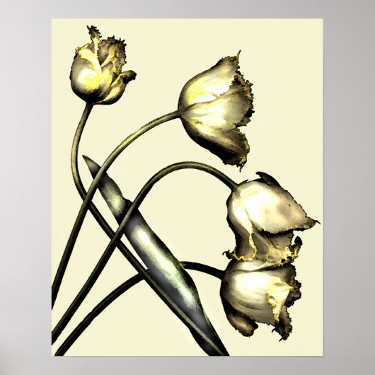 Vier Tulpen Nr. 2 Poster (Vorne)