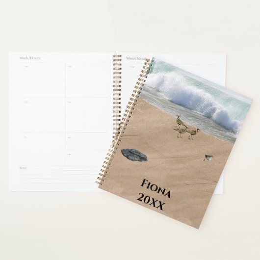 Vier Vögel am Strand Planer (Anzeige)