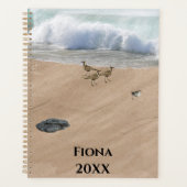 Vier Vögel am Strand Planer (Vorderseite)