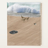 Vier Vögel am Strand Planer (Rückseite)