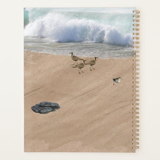 Vier Vögel am Strand Planer (Rückseite)