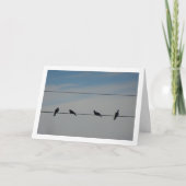 Vier Vögel auf einem Draht Karte (Vorderseite)