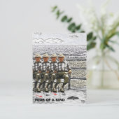 Vier von einer Art Postkarte (Stehend Vorderseite)