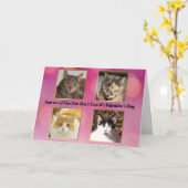 Vier von fünf Katzen kümmern sich nicht um Valenti Karte (Gelbe Blume)