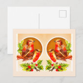 Vier Weihnachtsrobinen auf Postkarte (Vorne/Hinten)
