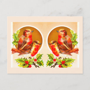 Vier Weihnachtsrobinen auf Postkarte