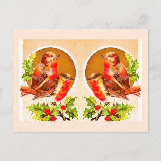 Vier Weihnachtsrobinen auf Postkarte (Vorderseite)