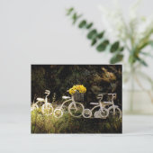 Vier weiße Tricks Postkarte (Stehend Vorderseite)