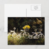 Vier weiße Tricks Postkarte (Vorne/Hinten)