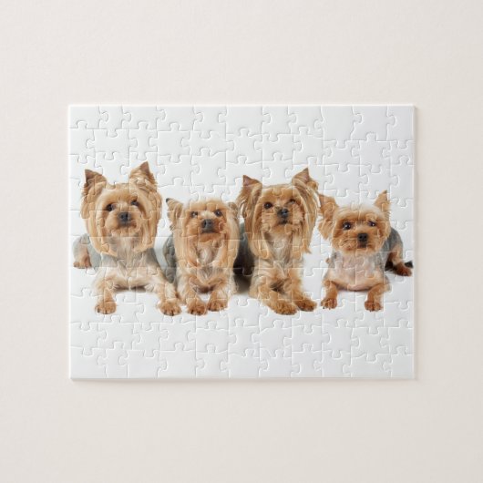 Vier yorkies puzzle (Horizontal)