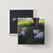 Vier Ziegen Button (Vorne & Hinten)