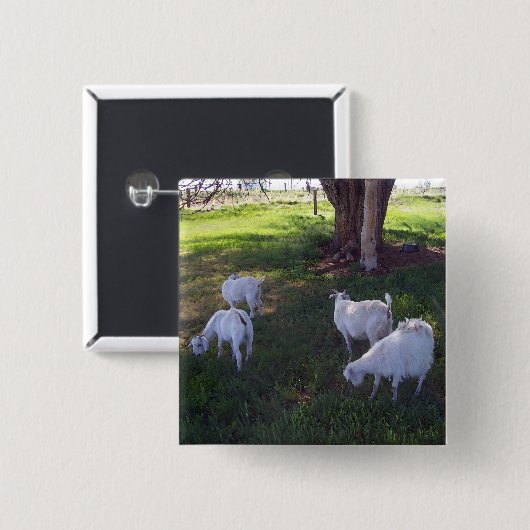 Vier Ziegen Button (Vorne & Hinten)