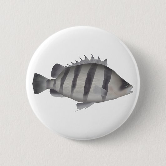 Vierbärtiger Tigerfisch Button (Vorderseite)