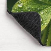 Vierblattklee mit Regentropfen Mousepad (Ecke)