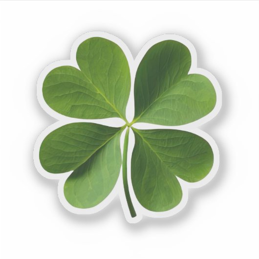 vierblättriges Kleeblatt Aufkleber (Vorderseite)