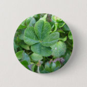 vierblättriges Kleeblatt Button (Vorderseite)