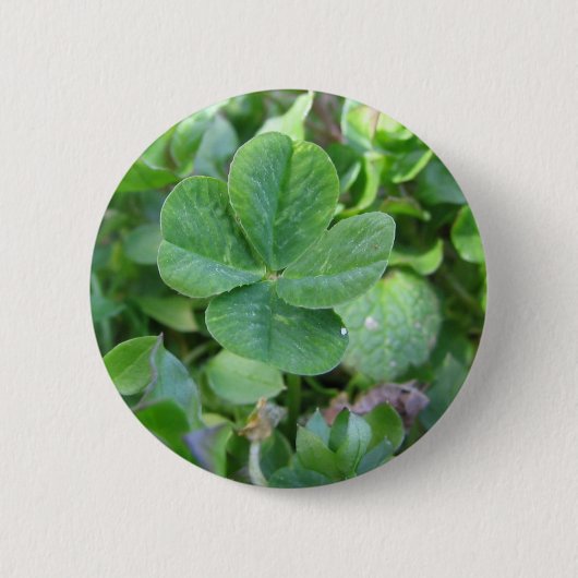 vierblättriges Kleeblatt Button (Vorderseite)