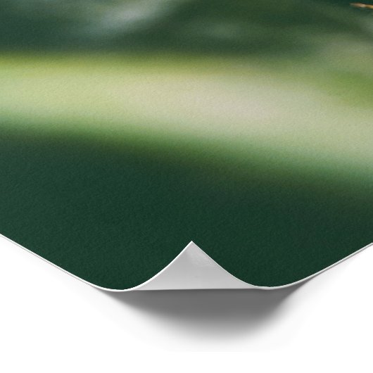 vierblättriges Kleeblatt Charm Poster (Ecke)