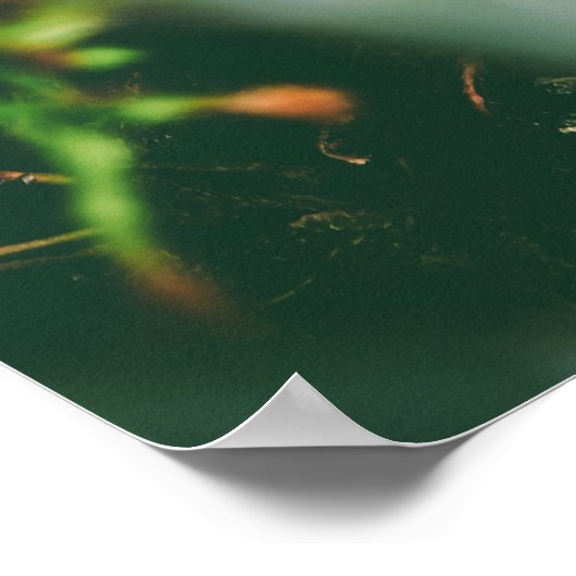 vierblättriges Kleeblatt Charm Poster (Ecke)