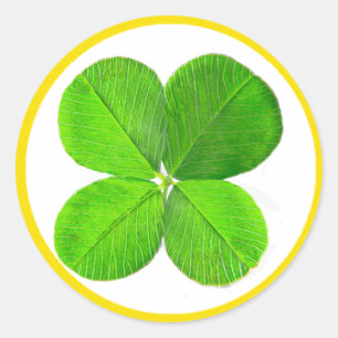 vierblättriges Kleeblatt der MUSEUM Zazzle Geschen Runder Aufkleber