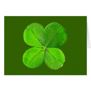 Vierblättriges Kleeblatt die MUSEUM Zazzle