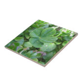vierblättriges Kleeblatt Fliese (Seite)