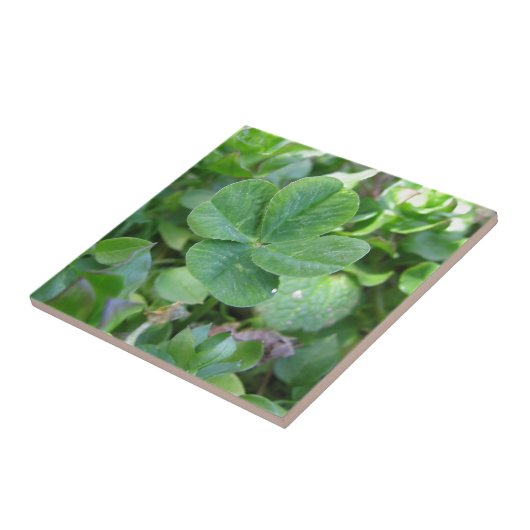 vierblättriges Kleeblatt Fliese (Seite)