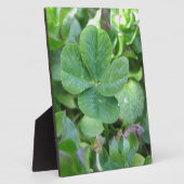 vierblättriges Kleeblatt Fotoplatte (Seite)