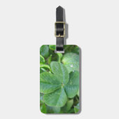 vierblättriges Kleeblatt Gepäckanhänger (Vorderseite vertikal)