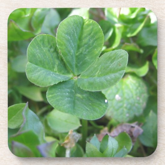 vierblättriges Kleeblatt Getränkeuntersetzer (Vorderseite)