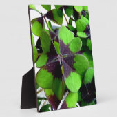 vierblättriges Kleeblatt Kleeblatt St. Patrick's L Fotoplatte (Seite)