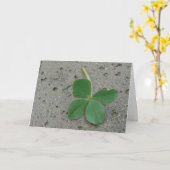 vierblättriges Kleeblatt - Lucky Charm Karte (Gelbe Blume)
