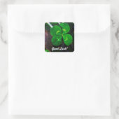 vierblättriges Kleeblatt Lucky Quadratischer Aufkleber (Tasche)